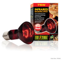Produktbild von Exo Terra Infrared Basking Spot Infrarot-Wärmespot 75W R20 für Reptilien - 75 Pack