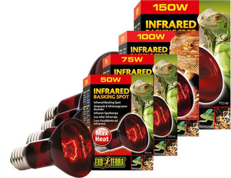 Exo Terra Infrared Basking Spot Infrarot-Wärmespot für Reptilien Amphibien und Insekten 50W R20 - 50 Stk. – Bild 1 von 4
