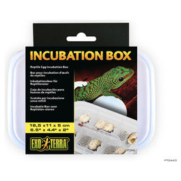 Exo Terra Inkubations-Box für Reptilieneier aus Kunststoff in Schwarz und Transparent - 1 Stk. – Bild 1 von 5