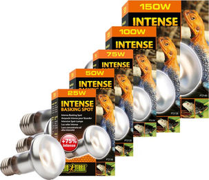 Exo Terra Intense Basking Spot Tageslicht Wärmespot 50W für Reptilien und Amphibien - 1 Stk. – Bild 1 von 6