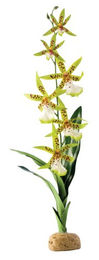 Produktbild von Exo Terra Künstliche Spinnen Orchidee als naturgetreue Terrarienpflanze für Reptilien und Frösche