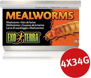 Exo Terra Mehlwürmer Reptilienfutter für Echsen 4x34g – Bild 1 von 2