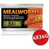 Produktbild von Exo Terra Mehlwürmer Reptilienfutter für Echsen 4x34g