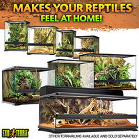 Produktbild von Exo Terra Natural Nano-Terrarium Wide aus Glas für Reptilien und Frösche 20x20x20cm