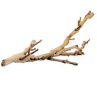 Produktbild von Exo Terra Naturholz Ast Sandgestrahlt für Reptilien Chamäleons und Frösche Größe S