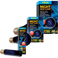 Produktbild von Exo Terra Night Heat Lamp Mondscheinlampe für Reptilien 75W - 75 Stk.