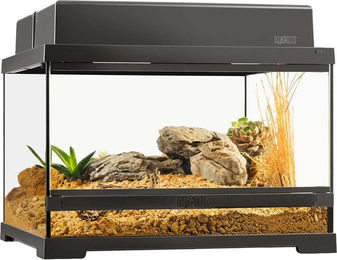 Exo Terra Pro Terrarium für Reptilien und Frösche 45x45x30 cm Schwarz Transparent – Bild 1 von 5