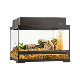 Exo Terra Pro Terrarium Low Medium 60x45x30 cm für Reptilien und Frösche Schwarz Transparent – Bild 1 von 4