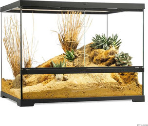 Produktbild von Exo Terra Pro Terrarium Medium 60x45x45 cm Schwarz Transparent