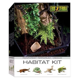 Exo Terra Rainforest Habitat Kit Terrarien Starter Set für Regenwald aus Glas in Schwarz 45 x 45 x 60 cm – Bild 1 von 5