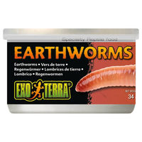 Produktbild von Exo Terra Regenwürmer für Reptilien und Amphibien 34 g