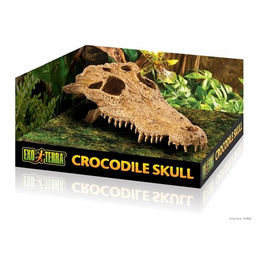 Exo Terra Reptilien Versteck Crocodile Skull aus Kunstharz in Beige - 1 Stk. – Bild 1 von 6