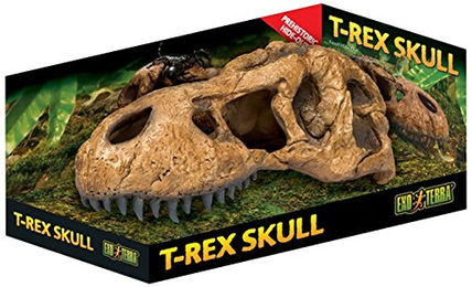 Exo Terra Reptilienhöhle für Landschildkröten aus Kunstharz in Naturfarben Größe L – Bild 1 von 6