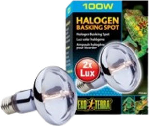 Exo Terra Sun Glo Daylight Neodymium Halogen Tageslichtlampe 100 Watt – Bild 1 von 3