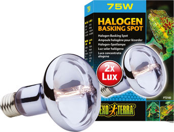 Exo Terra Sun Glo Halogen Basking Spot Tageslichtlampe 75W mit E27 Fassung - 75 Stk. – Bild 1 von 4