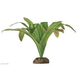 Exo Terra Terrarien-Pflanze Bromelia für Frösche groß – Bild 1 von 1
