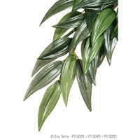 Produktbild von Exo Terra Terrarien-Pflanze Ruscus Größe L für Echsen und Frösche
