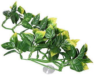 Exo Terra Terrariendeko Amapallo Pflanze Small 32 cm für Echsen und Frösche – Bild 1 von 6