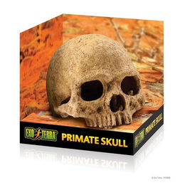Exo Terra Terrariendeko Versteck Primate Skull aus Kunstharz in Beige für Reptilien und Frösche - 1 Stk. – Bild 1 von 13