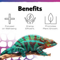 Produktbild von Exo Terra TerraSky UVB-LED-Terrarienspot für Reptilien 3W Schwarz