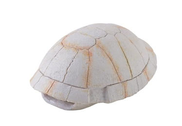 Produktbild von Exo Terra Tortoise Skeleton Versteck aus Kunstharz für Reptilien und Amphibien