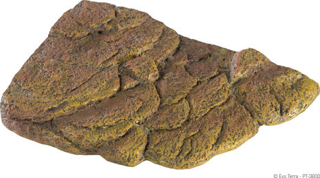 Exo Terra Turtle Bank Magnetische schwimmende Insel für Schildkröten Braun Klein – Bild 1 von 12
