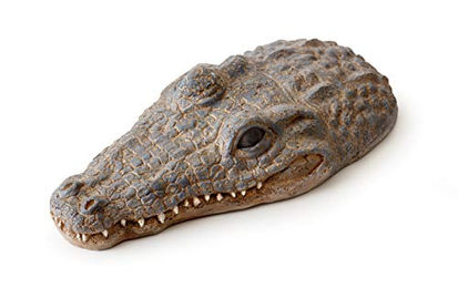 Exo Terra Turtle Island schwimmende Schildkröteninsel im Korodilschädel-Design für Reptilien und Amphibien - 1 Stk. – Bild 1 von 2