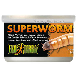 Produktbild von Exo Terra Zhophobas Insekten-Dosenfutter für Reptilien 34 g