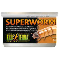 Produktbild von Exo Terra Zhophobas Insekten-Dosenfutter für Reptilien 34 g