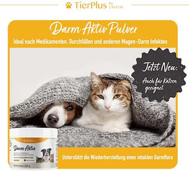 EXVital Darm Aktiv Pulver mit Probiotika und Präbiotika für Hunde und Katzen zur Unterstützung der Magen-Darm-Verdauung – Bild 1 von 9