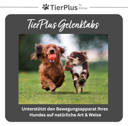 EXVital Grünlippmuschel Plus Gelenktabletten für Hunde mit Grünlippmuschel zur Unterstützung der Gelenke 180 Stück – Bild 1 von 11