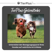 Produktbild von EXVital Grünlippmuschel Plus Gelenktabletten für Hunde mit Grünlippmuschel zur Unterstützung der Gelenke 180 Stück