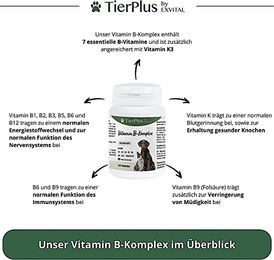 EXVital Vitamin B Komplex Tabletten für Hunde und Katzen zur Unterstützung der Verdauung 60 Stück - 120 Stk. – Bild 1 von 9