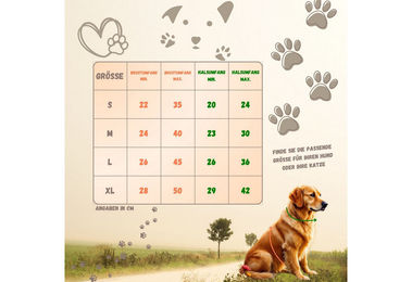 Eyecatcher Hunde-Geschirr-Set aus atmungsaktivem Mesh mit Leine für erwachsene Hunde in Grün und Türkis – Bild 1 von 4