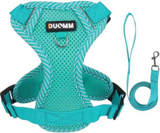 Eyecatcher Hunde-Geschirr-Set aus atmungsaktivem Mesh mit Leine Grün für erwachsene Hunde – Bild 1 von 3