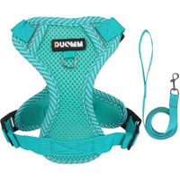 Produktbild von Eyecatcher Hunde-Geschirr-Set aus atmungsaktivem Mesh mit Leine Grün für erwachsene Hunde