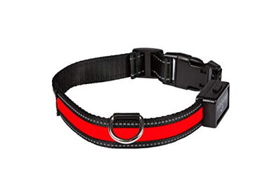 Eyenimal Leuchthalsband für Hunde Rot Größe M wasserdicht und USB wiederaufladbar - 76 g – Bild 1 von 4