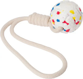 Eyenimal Pull Ball Hundespielzeug aus TPR in Bunt für erwachsene Hunde – Bild 1 von 1