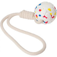 Produktbild von Eyenimal Pull Ball Hundespielzeug aus TPR in Bunt für erwachsene Hunde