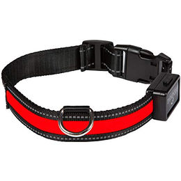 Eyenimal USB Leuchthalsband für Hunde wasserdicht und wiederaufladbar Rot Größe L - 86 g – Bild 1 von 2