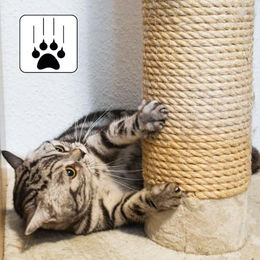 eyepower Sisal Ersatzstamm für Katzenkratzbäume 35 cm Länge 9,2 cm Durchmesser Natur Beige - 35 cm – Bild 1 von 7