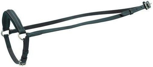 Produktbild von Fallendes Reithalfter HorseGuard