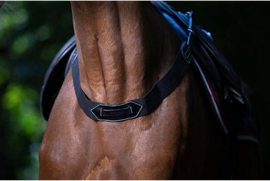 Produktbild von Falscher elastischer Schnickschnack Eric Thomas