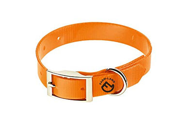Produktbild von Farm-Land Hunde Halsung Basic Signalorange 35 cm - 35 cm