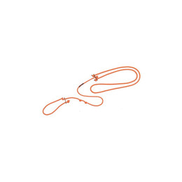 Produktbild von Farm-Land lautlose Hundeleine Orange