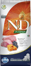 Produktbild von Farmina N&D Pumpkin Puppy Medium & Maxi mit Lamm und Blaubeere - 2 x 12 kg