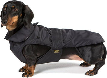Fashion Dog Hundemantel Hundemantel speziell für Dackel, Schwarz, 36 cm – Bild 1 von 3