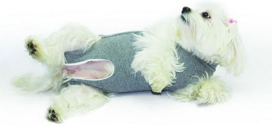 Fashion Dog OP-Body Cura Pets OP- und Wundschutz-Body für Hunde und Katzen – Bild 1 von 4