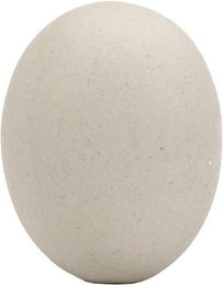 Fauna Nestei für Hühner - 2 Stücke – Bild 1 von 2