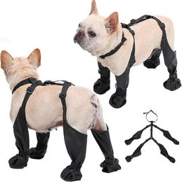 feinlux Pfotenschutz Rutschfeste Hundeschuhe, (set), Weich, verschleißfest, wasserdicht Rutschfest, reiner Gummi – Bild 1 von 5